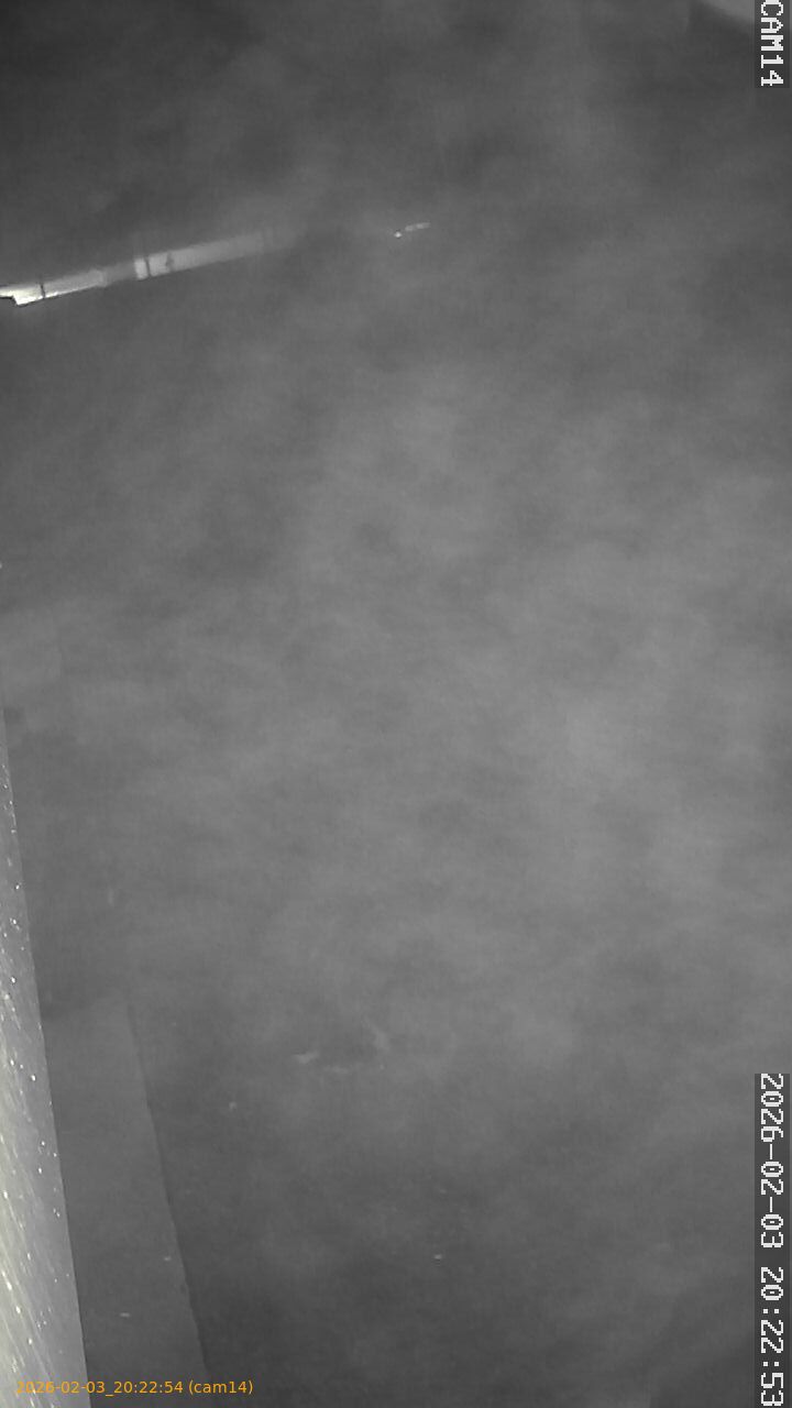 thumbnail_20260203202254