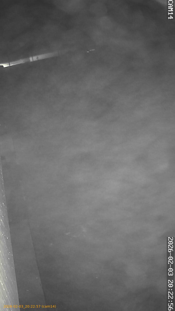 thumbnail_20260203202257