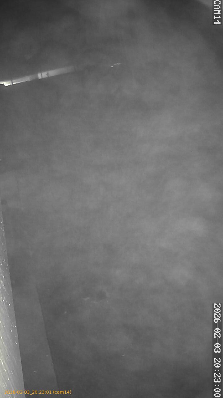 thumbnail_20260203202301