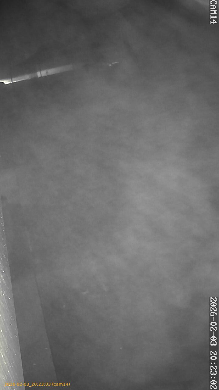 thumbnail_20260203202303