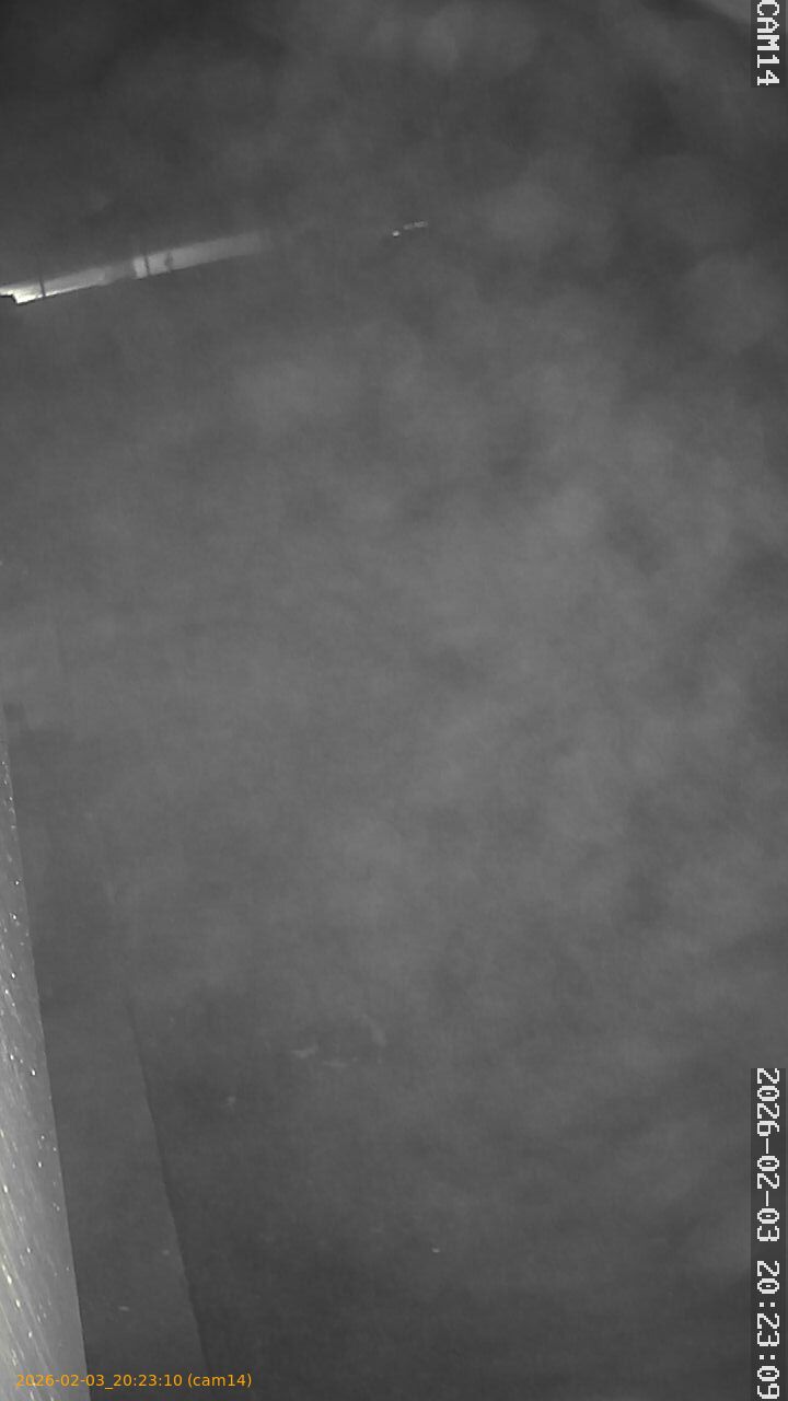 thumbnail_20260203202310