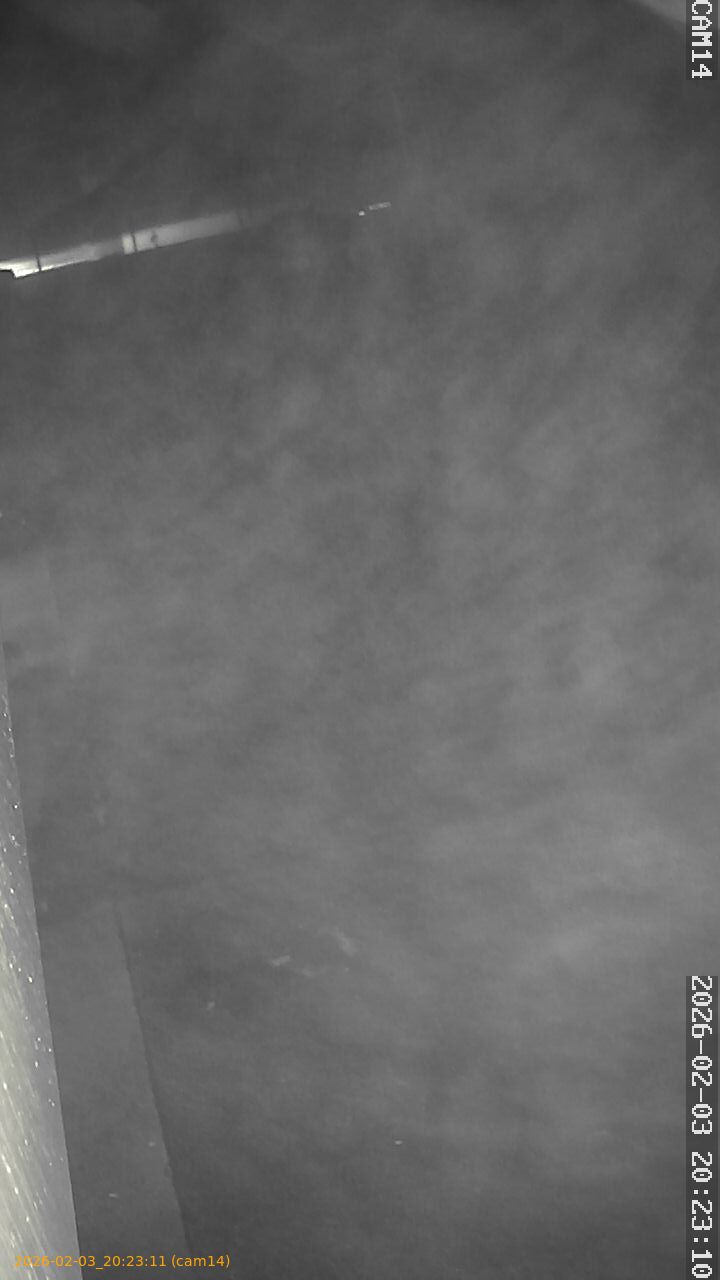 thumbnail_20260203202311