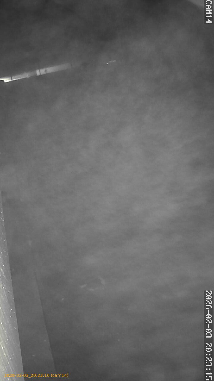 thumbnail_20260203202316