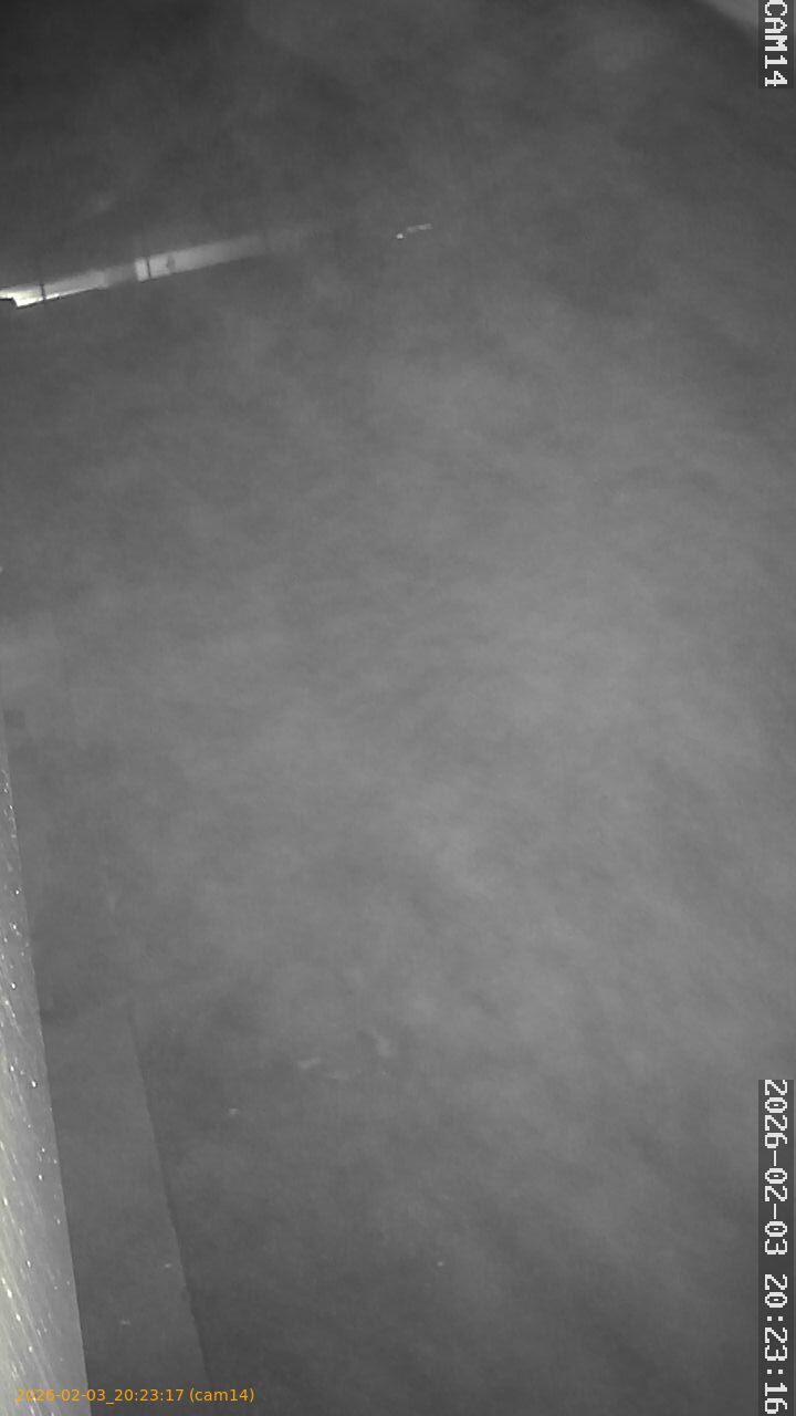 thumbnail_20260203202317