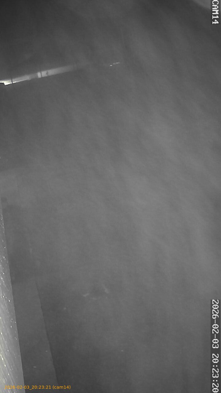 thumbnail_20260203202321