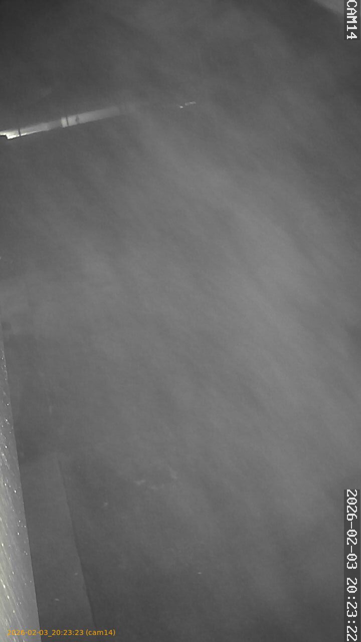 thumbnail_20260203202323