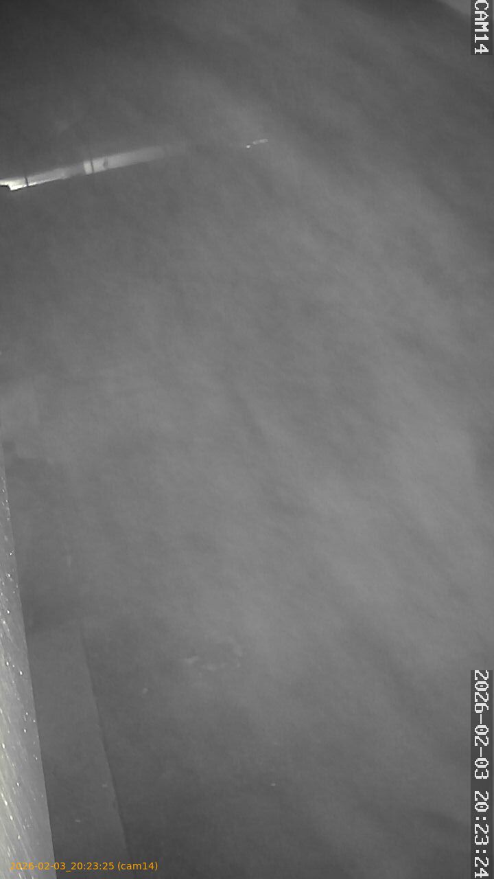 thumbnail_20260203202325