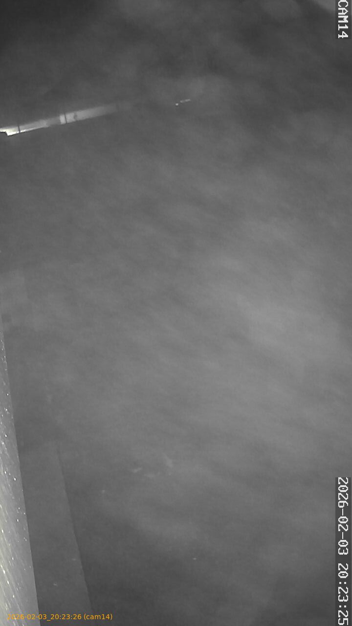 thumbnail_20260203202326