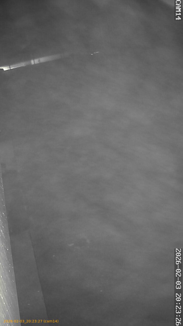 thumbnail_20260203202327