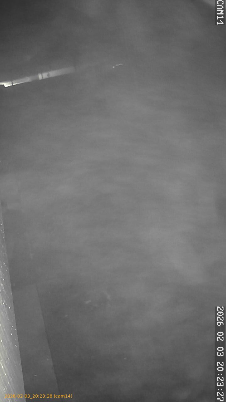 thumbnail_20260203202328