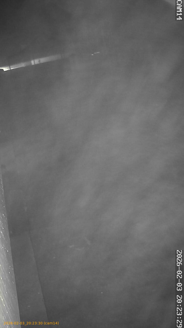 thumbnail_20260203202330