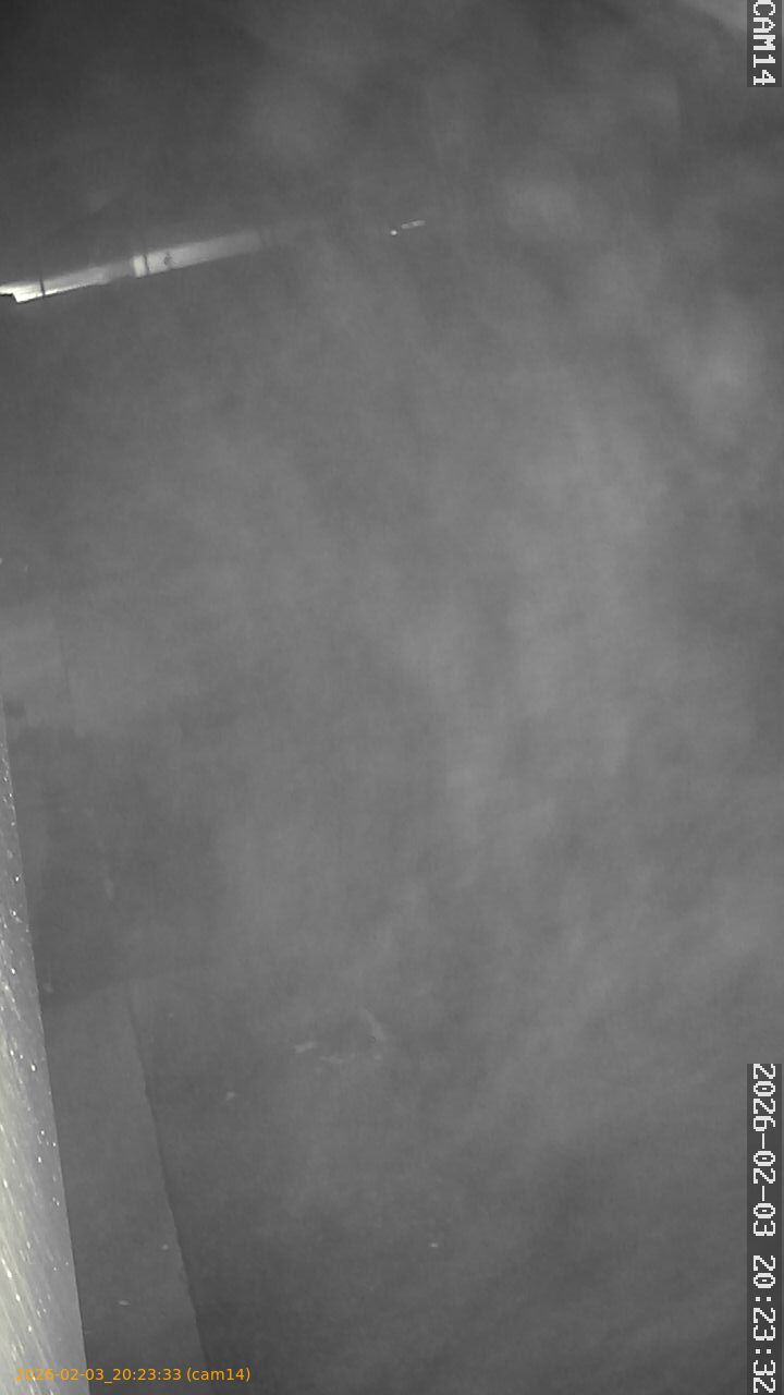 thumbnail_20260203202333