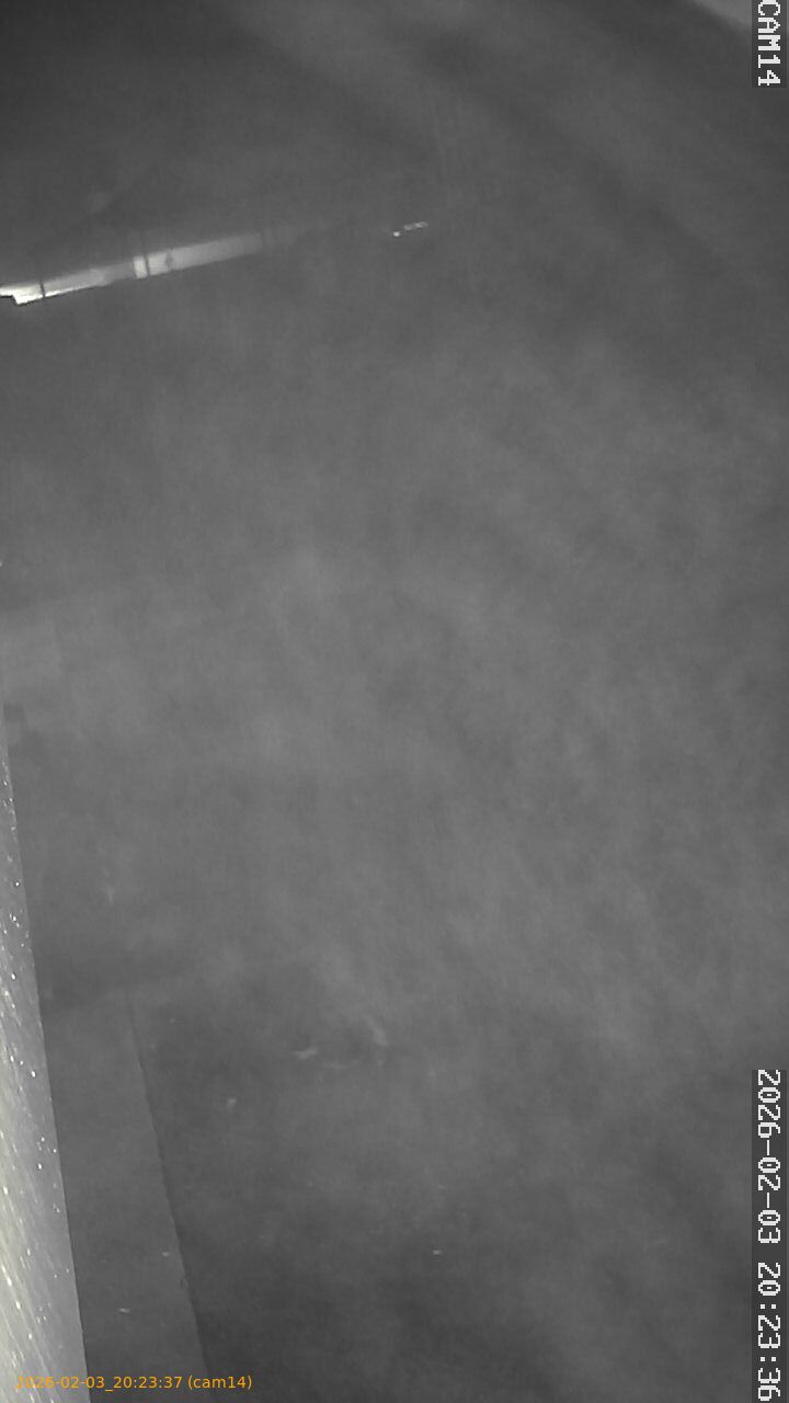 thumbnail_20260203202337