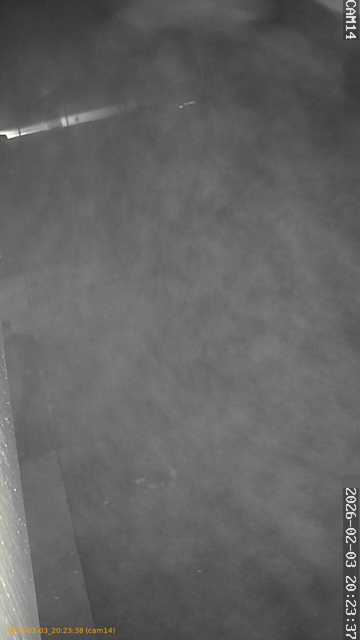 thumbnail_20260203202338