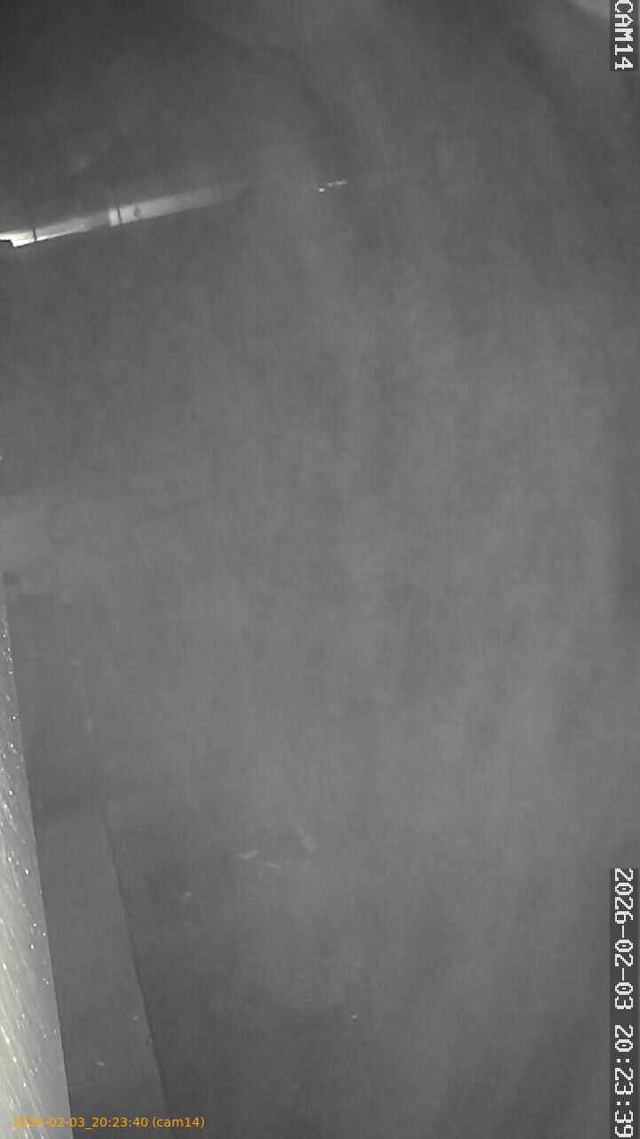 thumbnail_20260203202340