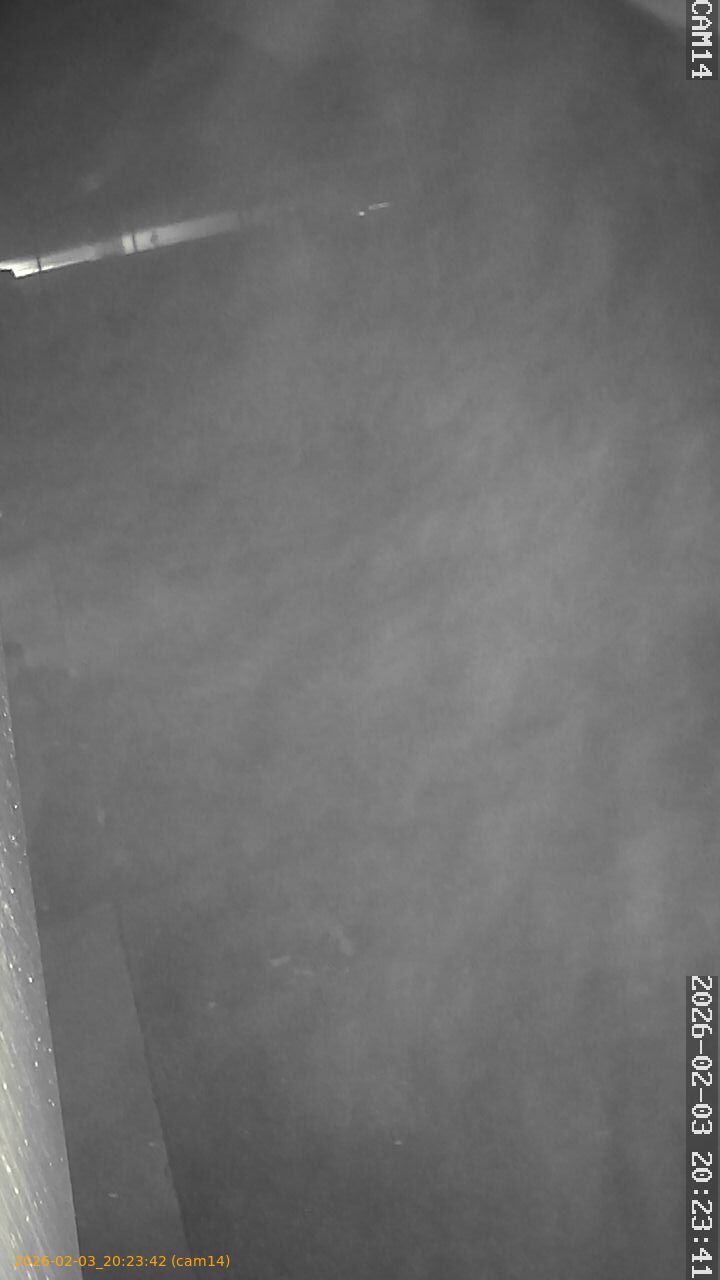 thumbnail_20260203202342