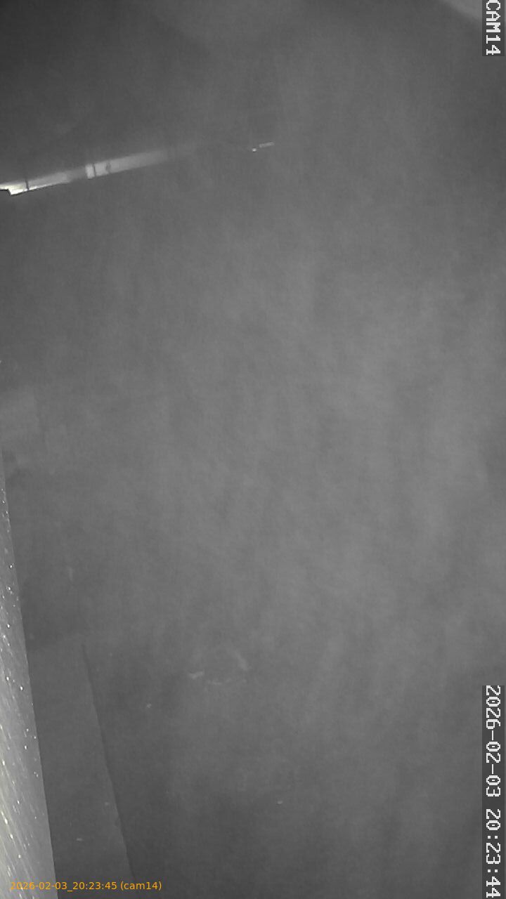 thumbnail_20260203202345