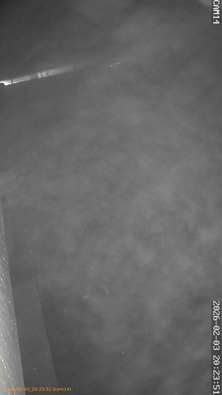 thumbnail_20260203202352