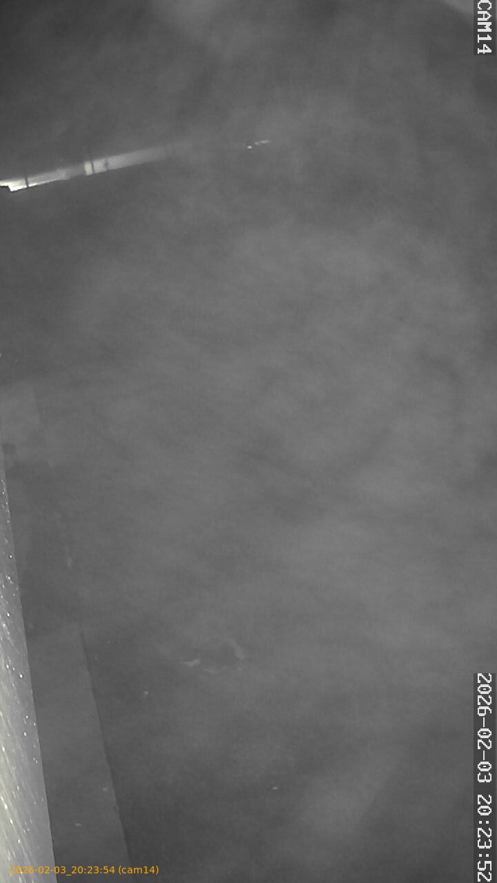 thumbnail_20260203202353