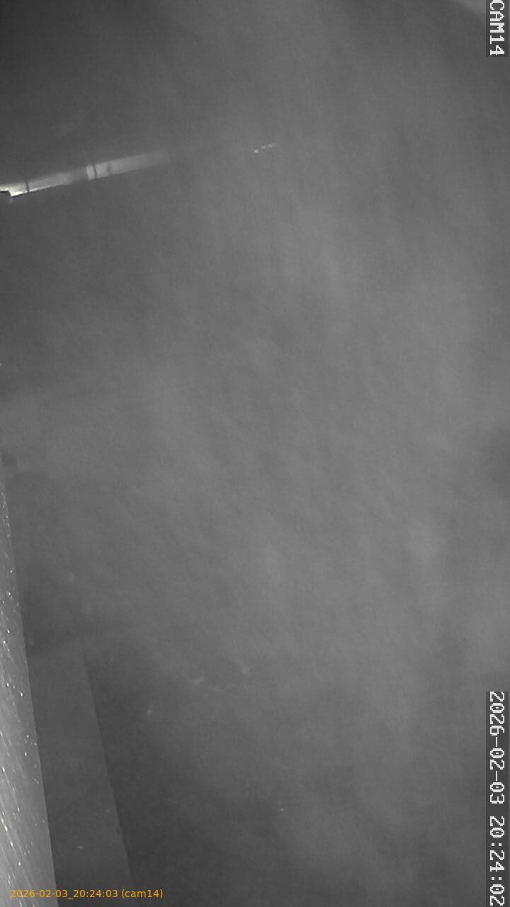 thumbnail_20260203202403