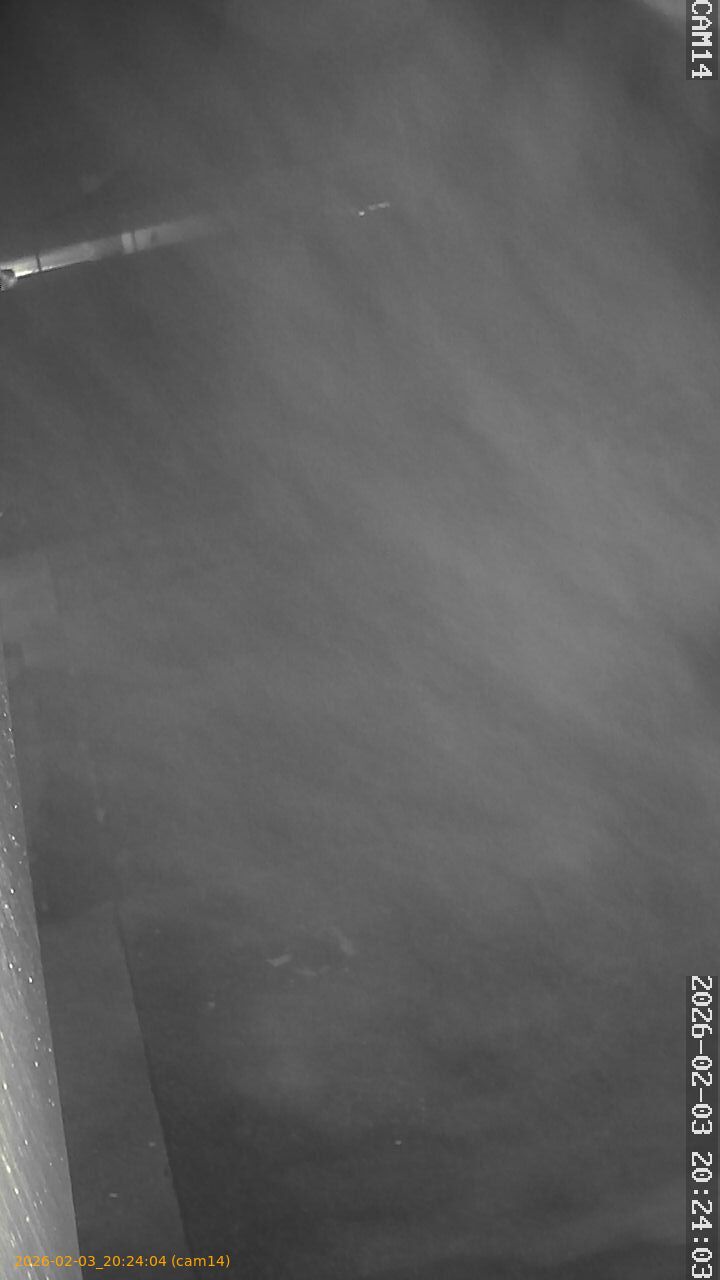 thumbnail_20260203202404