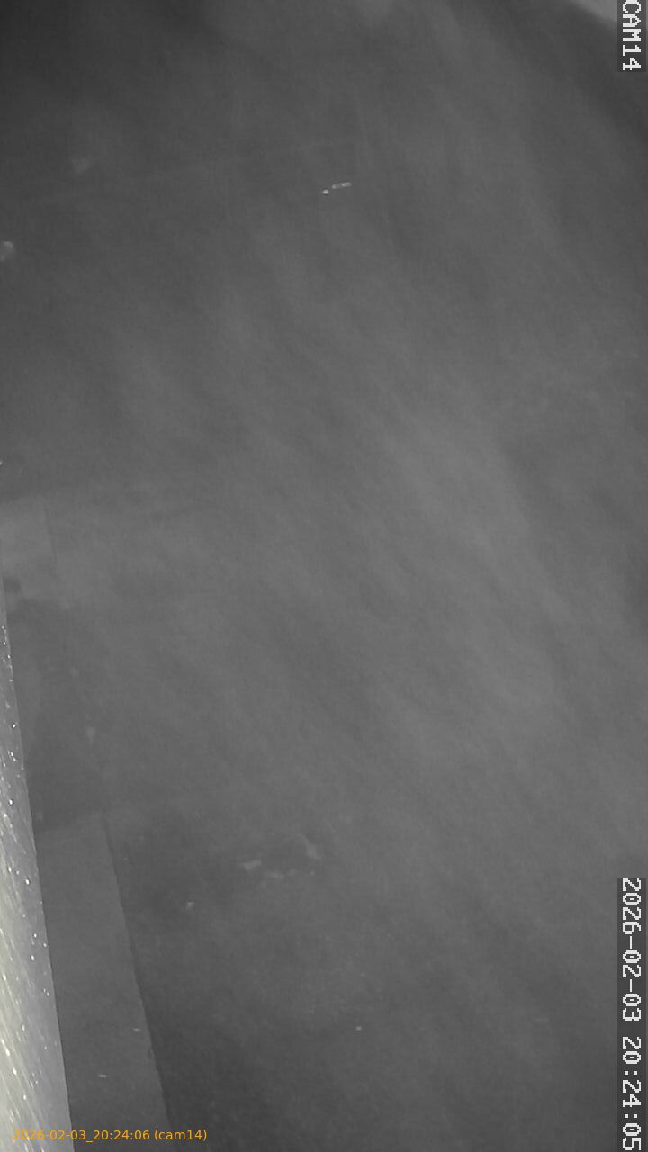 thumbnail_20260203202406