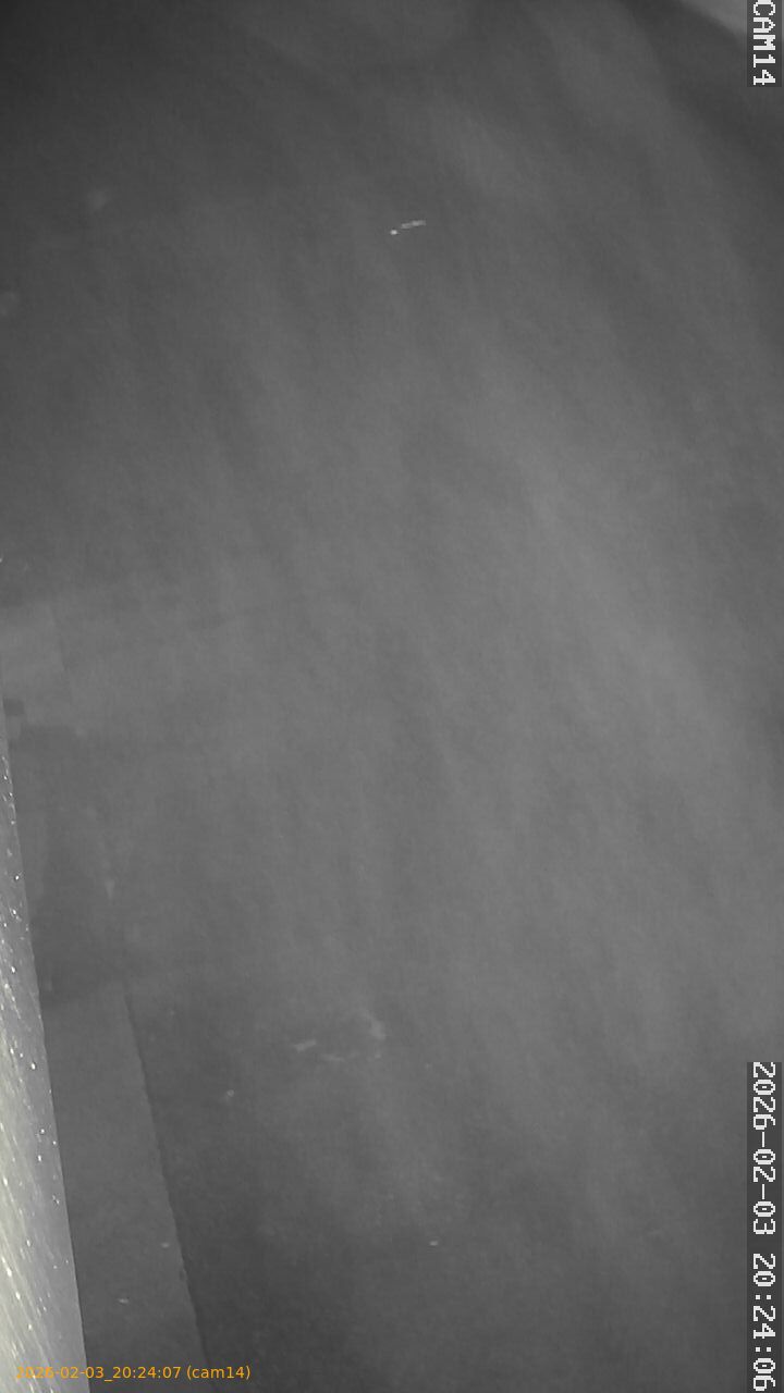 thumbnail_20260203202407