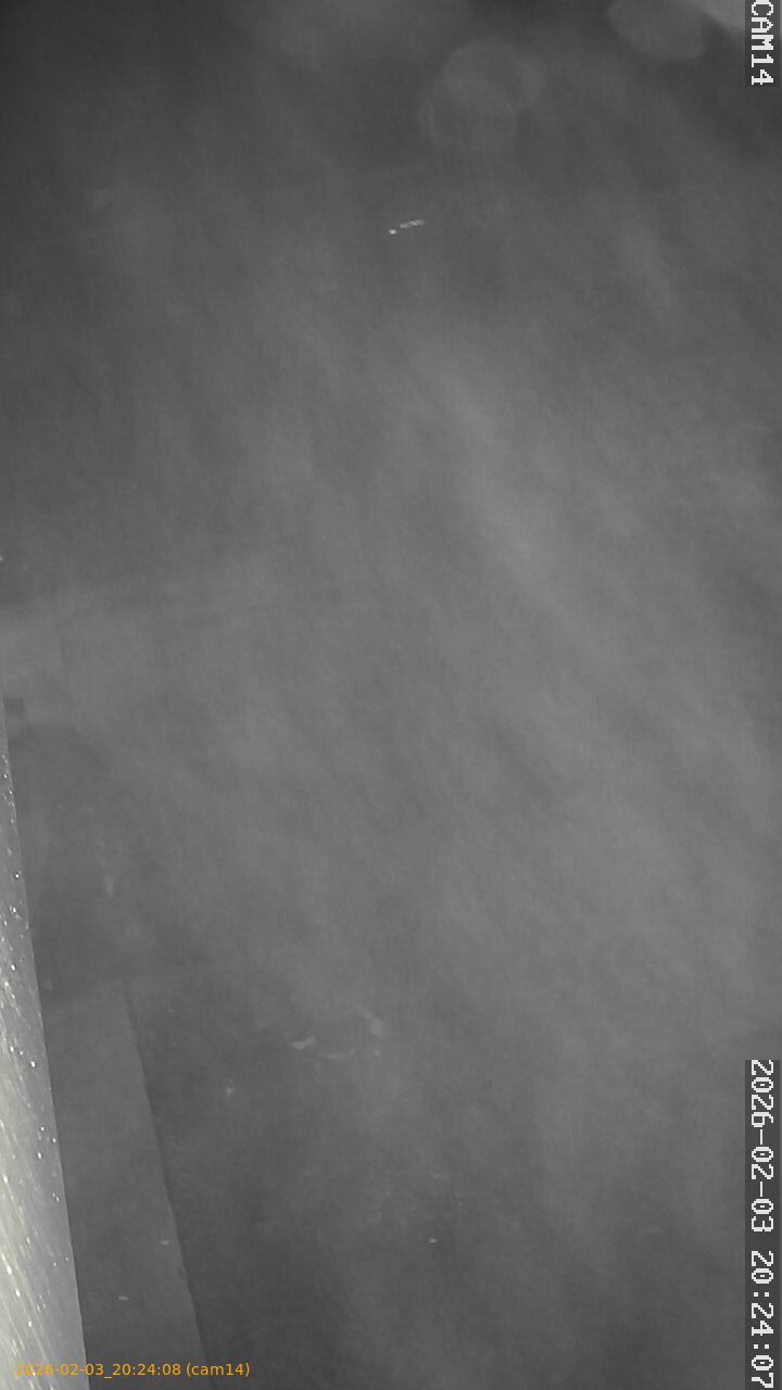 thumbnail_20260203202408