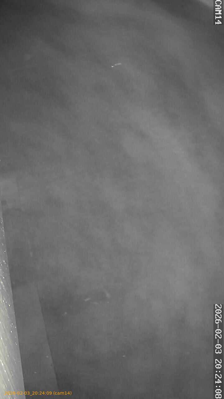 thumbnail_20260203202409