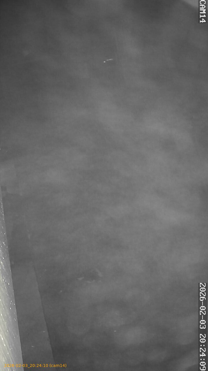 thumbnail_20260203202410