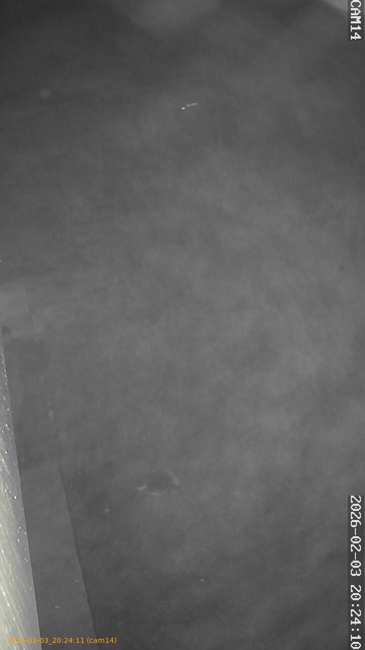 thumbnail_20260203202411