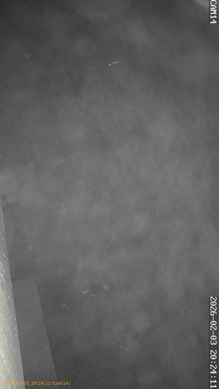 thumbnail_20260203202412