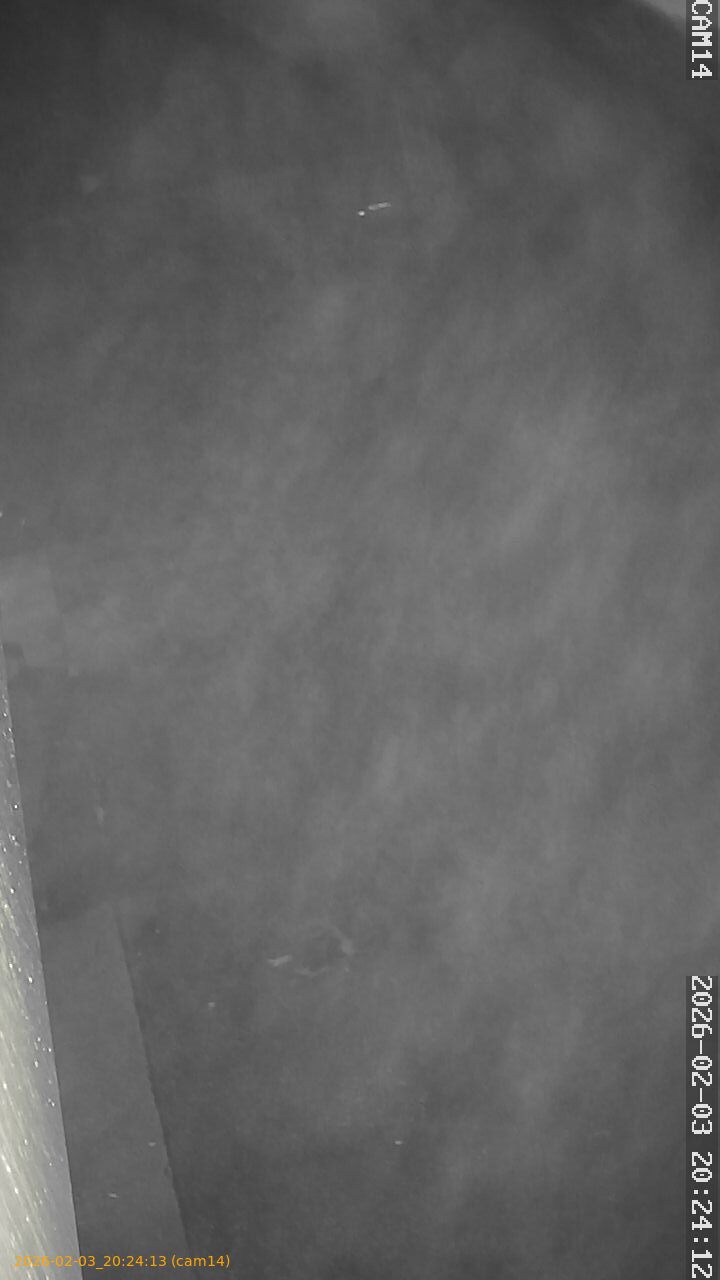 thumbnail_20260203202413