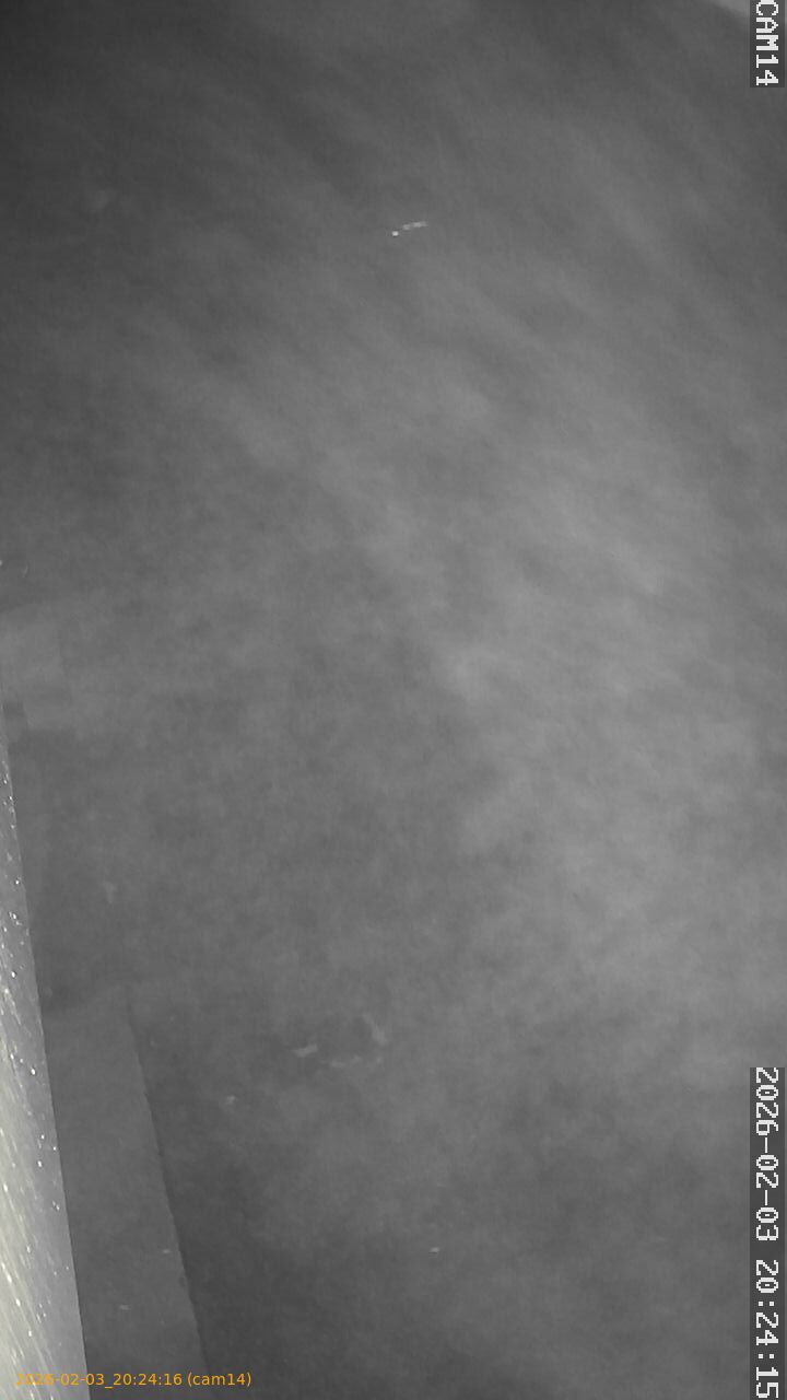 thumbnail_20260203202416