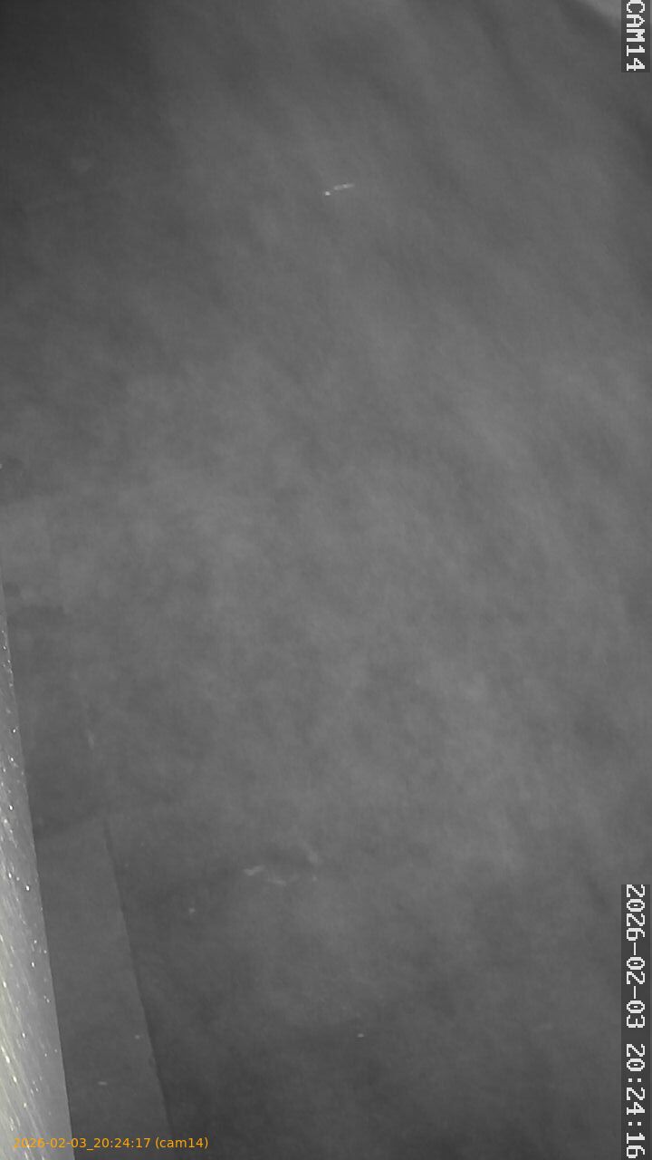 thumbnail_20260203202417