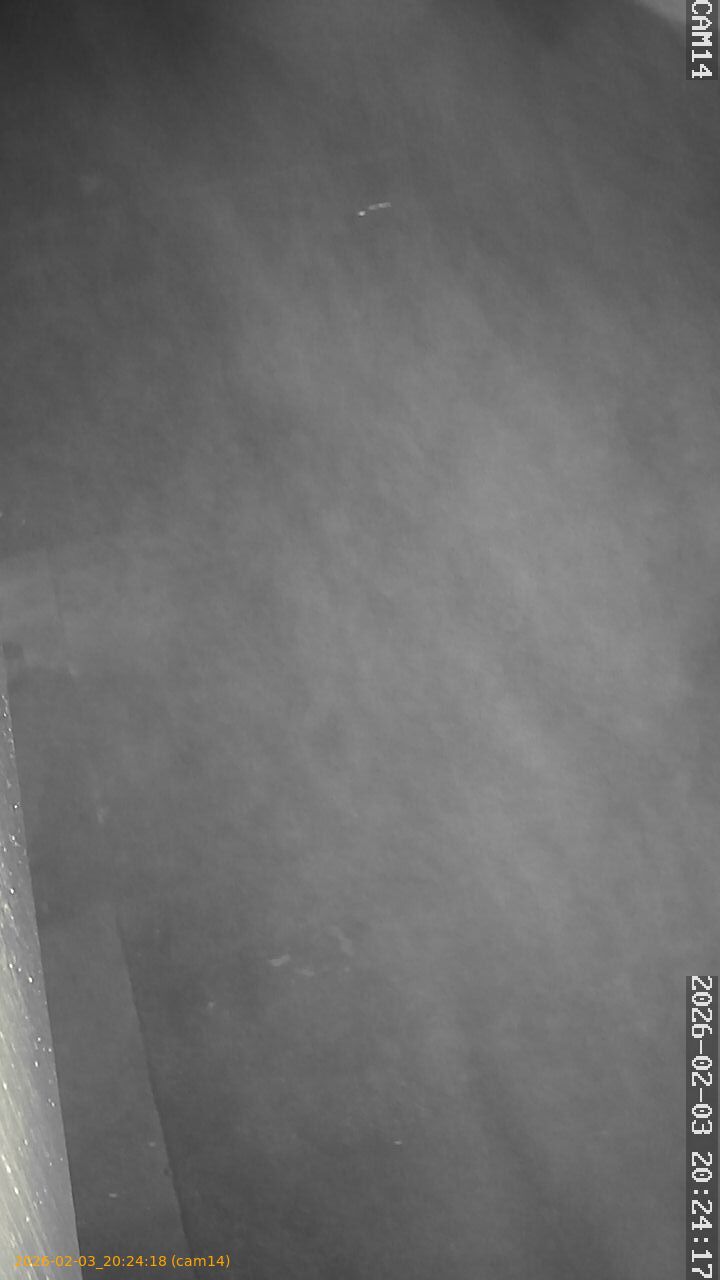 thumbnail_20260203202418