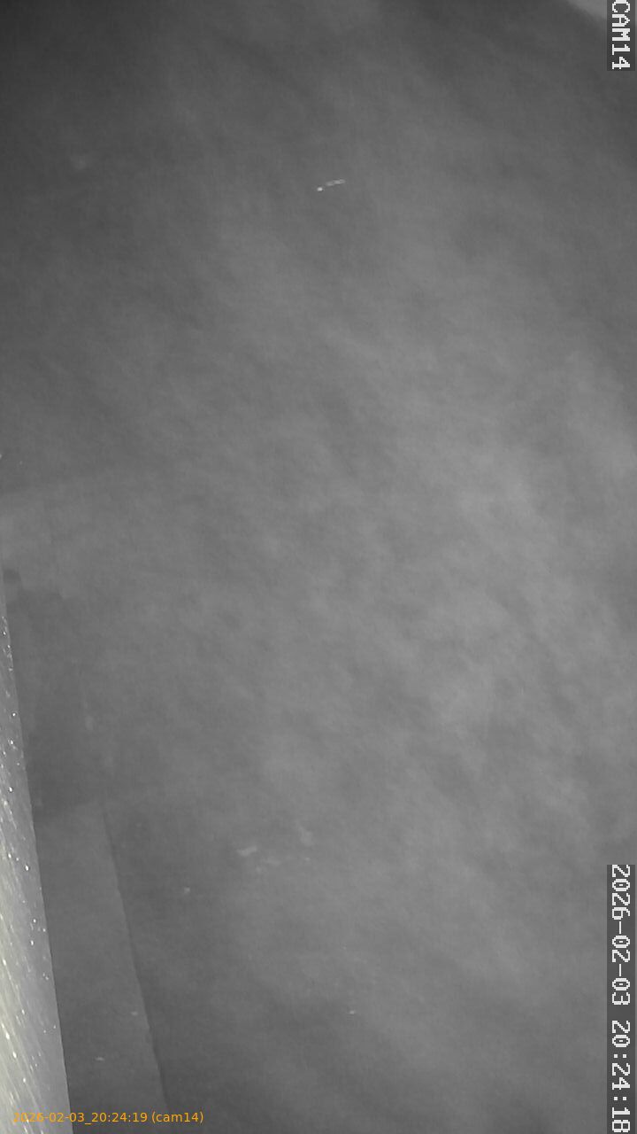 thumbnail_20260203202419