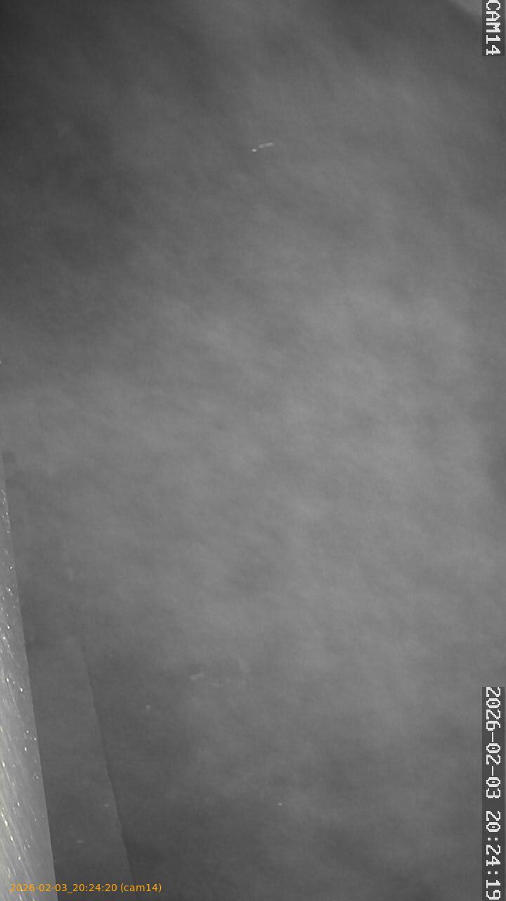 thumbnail_20260203202420