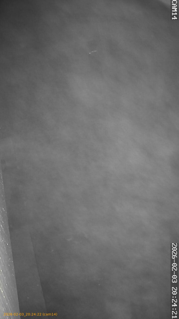 thumbnail_20260203202422