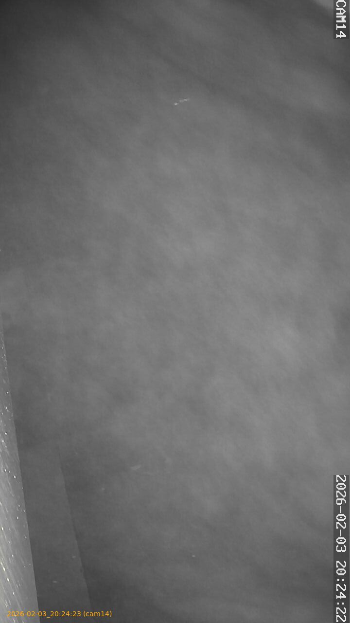 thumbnail_20260203202423