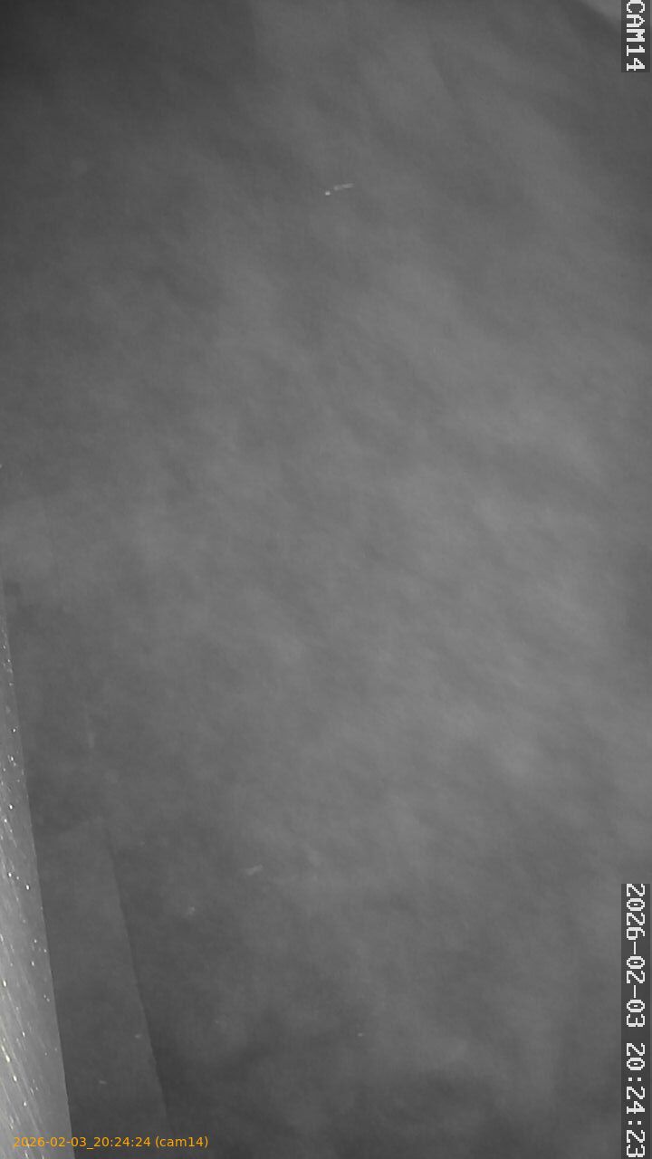 thumbnail_20260203202424