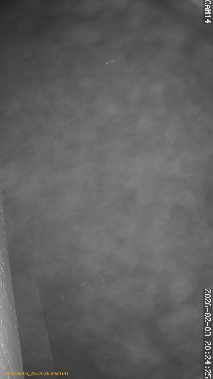 thumbnail_20260203202426