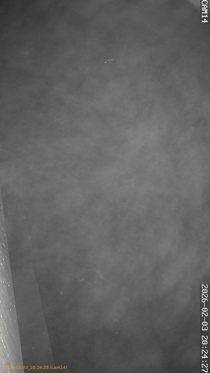 thumbnail_20260203202428