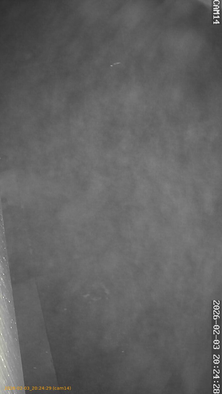 thumbnail_20260203202429