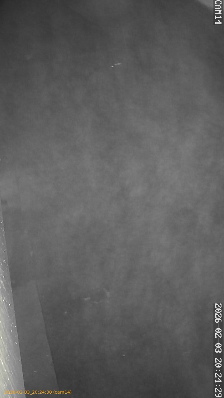 thumbnail_20260203202430