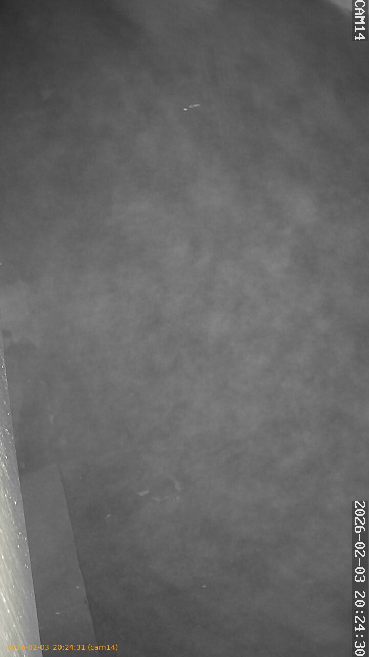 thumbnail_20260203202431