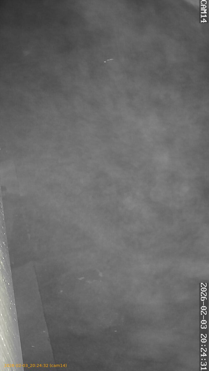 thumbnail_20260203202432