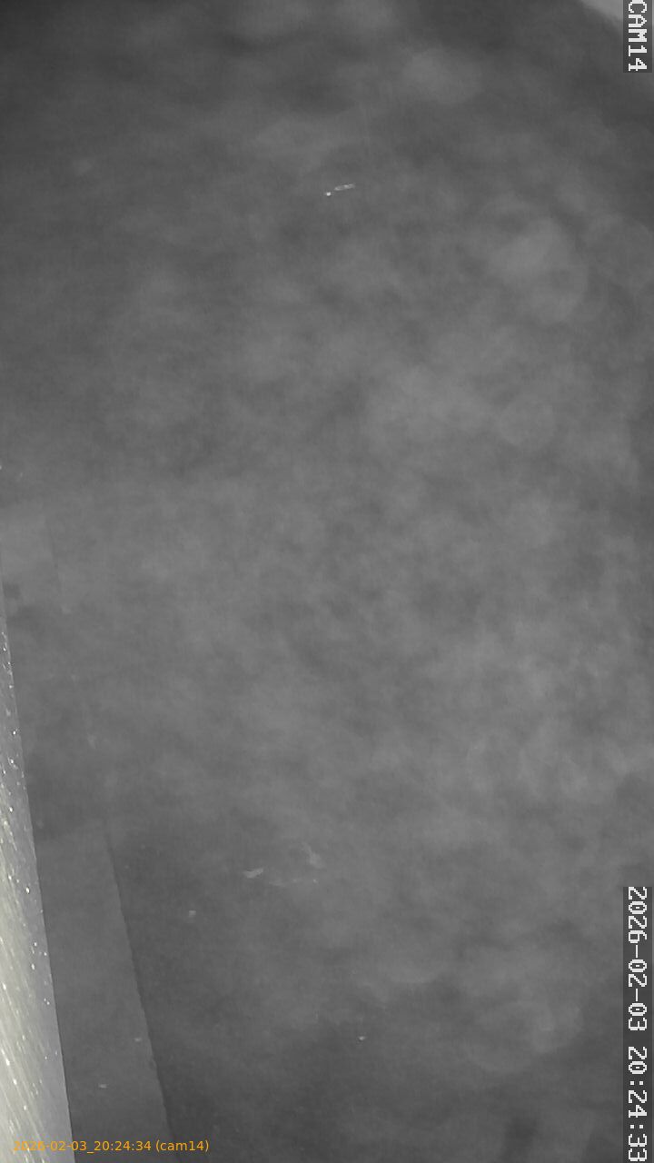 thumbnail_20260203202434