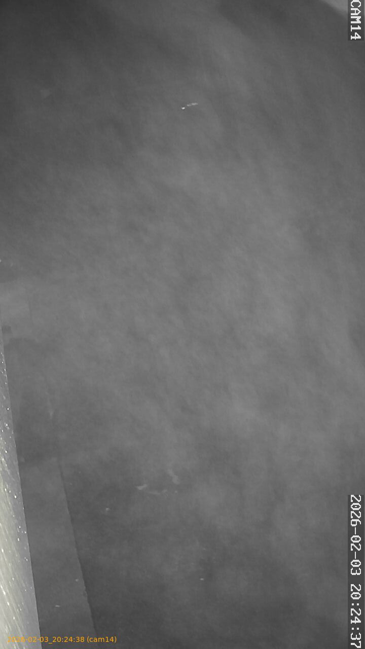 thumbnail_20260203202438