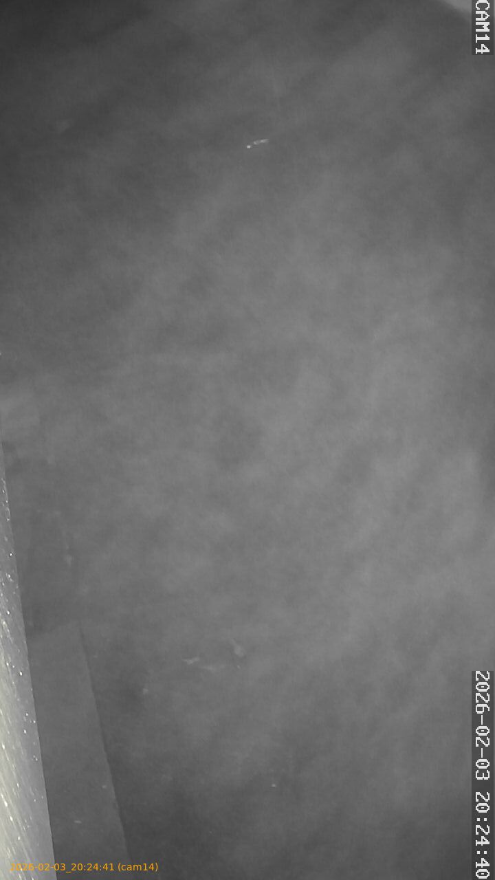 thumbnail_20260203202441